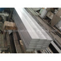 Hot-DIP aço galvanizado Flat / Flat Bar